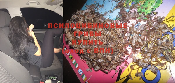 a pvp Алексин
